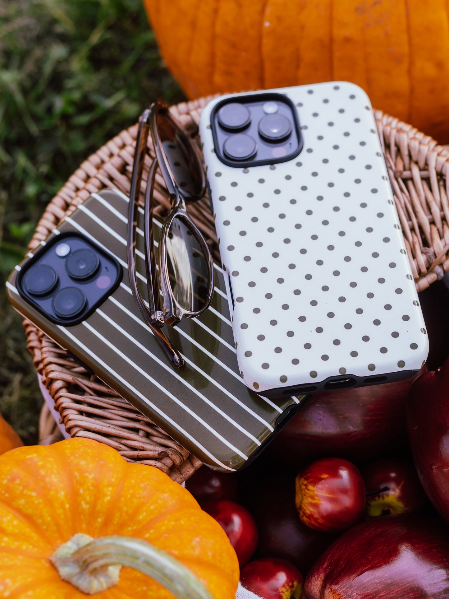 Brown/White Striped Case